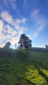 Kneipp_LV_Vorarlberg_Wandertag_Georg_Jillich_181710