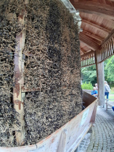 KAC Hohenems Bad Woerishofen 16