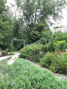 KAC Hohenems Bad Woerishofen 17