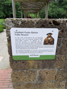 KAC Hohenems Bad Woerishofen 21