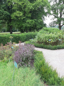 KAC Hohenems Bad Woerishofen 24