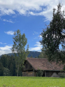 Kneipp-LV-Vorarlberg-Pilgerwanderung-Bildstein_3949