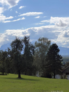 Kneipp-LV-Vorarlberg-Pilgerwanderung-Bildstein_3954