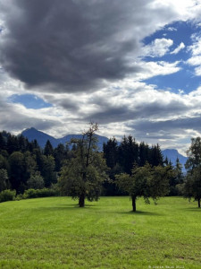 Kneipp-LV-Vorarlberg-Pilgerwanderung-Bildstein_3958