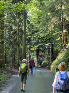 Kneipp-LV-Vorarlberg-Pilgerwanderung-Bildstein_3971