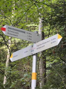 Kneipp-LV-Vorarlberg-Pilgerwanderung-Bildstein_3972