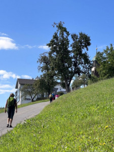 Kneipp-LV-Vorarlberg-Pilgerwanderung-Bildstein_3974