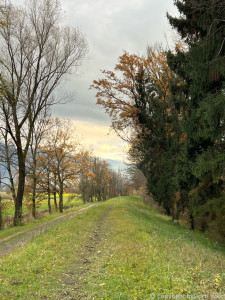 LV Kneipp Vorarlberg Raeuchern In Die Dunkle Zeit 19 11 2022 15 11 43