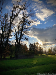 LV Kneipp Vorarlberg Raeuchern In Die Dunkle Zeit 19 11 2022 15 42 44