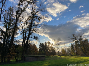 LV Kneipp Vorarlberg Raeuchern In Die Dunkle Zeit 19 11 2022 15 42 48