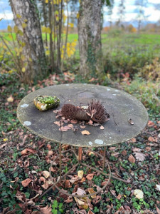LV Kneipp Vorarlberg Raeuchern In Die Dunkle Zeit 19 11 2022 16 06 14
