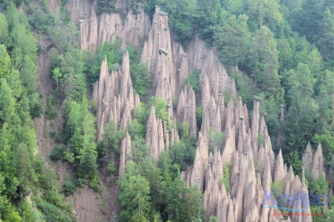 PHOTO-2024-01-26-14-00-22-4