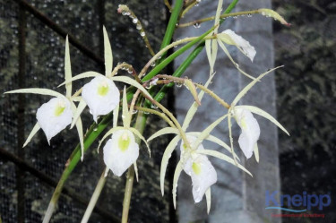 PHOTO-2024-01-26-14-02-21