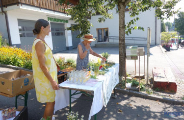 KAC-Langenegg-Kneippweg-06773