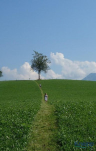 KAC-Langenegg-Kneippweg-06813
