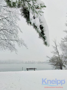 KAC-Rankweil-Winterwanderung-2023_4