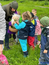 KiGa - Kräuterwanderung in Kastenlangen in Dornbirn