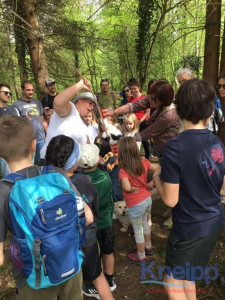 KAC Dornbirn Biberparadies Rheinholz 03