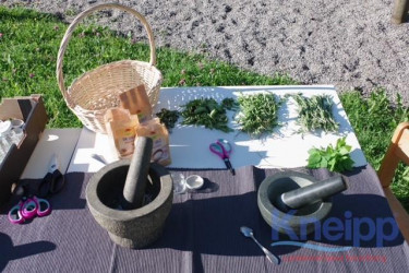 LV-Vorarlberg-Zertifizierung-KIKA-Rankweil_7 LV-Vorarlberg-Zertifizierung-KIKA-Rankweil_7