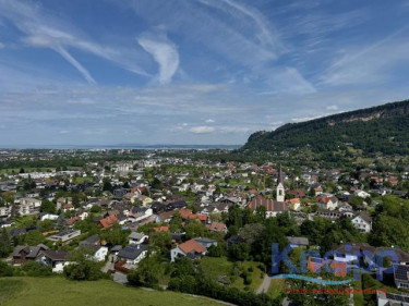 IMG_8440 IMG_8440
