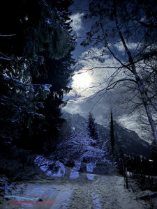 Vollmondwanderung-2690