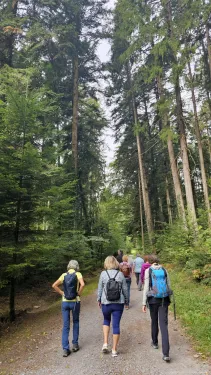 Sommer Klostertal 2026 4