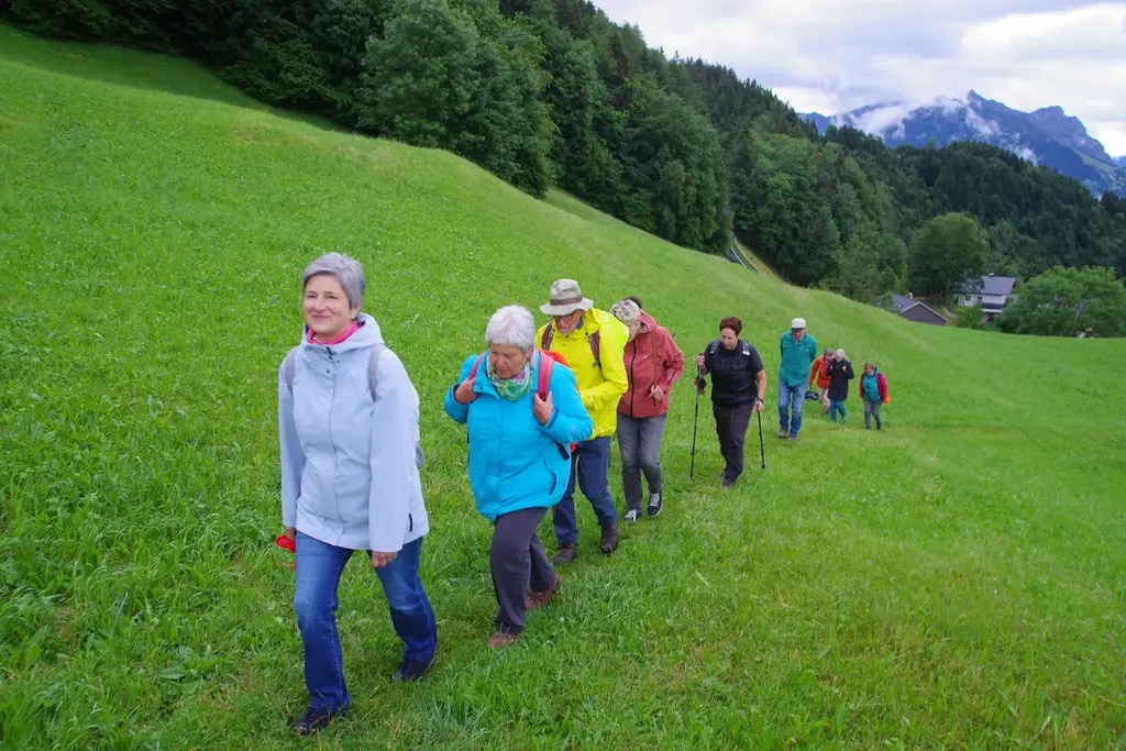 Orchideen-Wanderung im Europaschutzgebiet Übersaxen-Satteinserberg